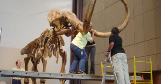 California Tourists Turn Late-Night Museum Stunt Into $200,000 Mammoth Disaster