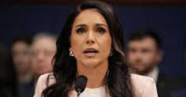 Tulsi Gabbard Drops Bombshell Criminal Referrals Over ‘Manufactured’ Trump Impeachment Plot