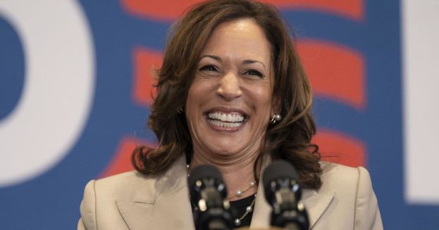 The Billionaire Puppet Masters Behind Kamala Harris: From The Mouth Of A Former Democrat...