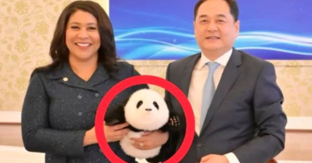 Pandas Over People&;#63; SF Mayor&apos;s Controversial China Trip Sparks Outrage