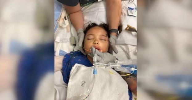 Shocking Call Logs Reveal What Really Happened When Dalilah’s Father Reached Out To Gavin Newsom