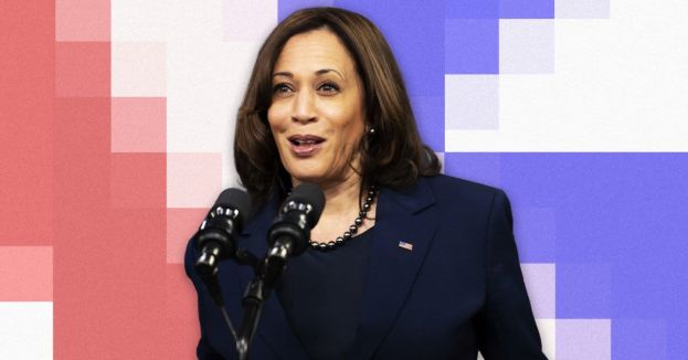 Kamala Harris Gets X-Rated Support: The $100K Campaign You Won't See On TV!
