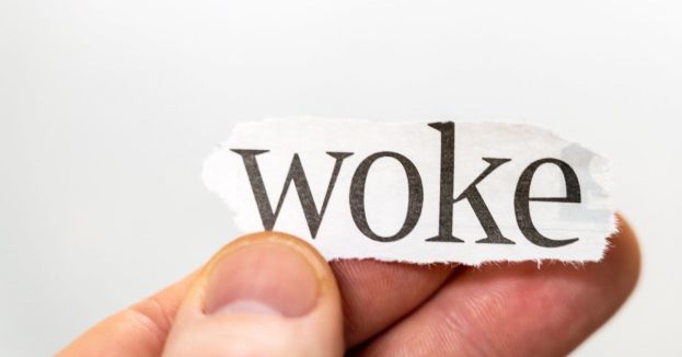 Wait, What? Liberals Urging Democrats To Drop Woke Jargon!