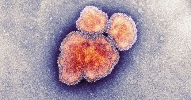 Governor's Next Move CRITICAL As Chicago Faces New Quick-Spreading Epidemic