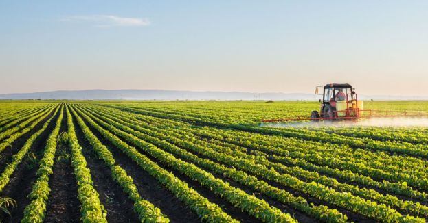 Billionaire Media Mogul Bloomberg's Climate Group Warns Of 'Climate-Driven Food Crisis'—But Farmers Say Otherwise