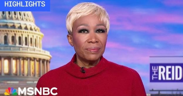 Joy Reid Equates Texas Border Security Supporters With 'Old Southerners' Opposing Integration