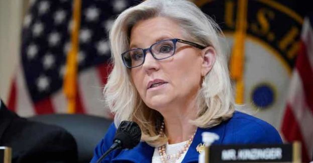 Highly Unlikely Allies: Wait, Liz Cheney And Donald Trump Agree On Something?