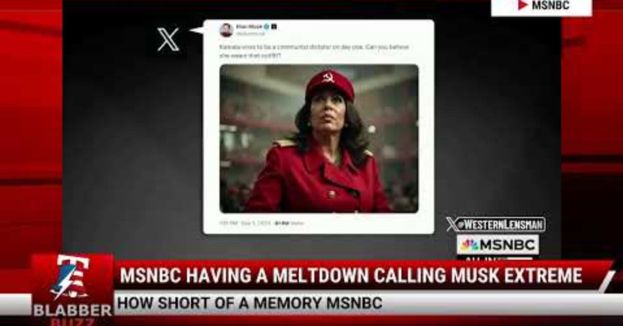 Watch: MSNBC Having A Meltdown Calling Musk Extreme