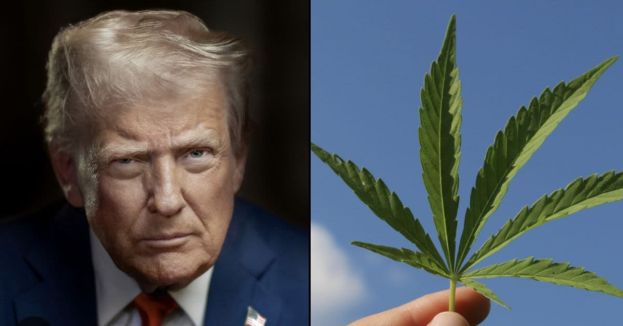 Holy Smoke! Trump Just Teased The End Of Federal Weed Wars