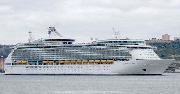 Nightmare At Sea: Family Sues Royal Caribbean For Passenger Death—Insider Calls Safety Protocols A Total Joke