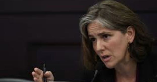 Democratic Lawmaker Feels "Guilty" For Being White—Wants Children To Share The Burden!