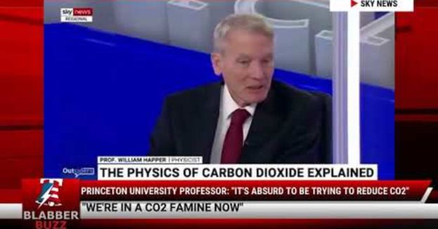 watch-princeton-university-professor-it-s-absurd-to-be-trying-to-reduce-co2