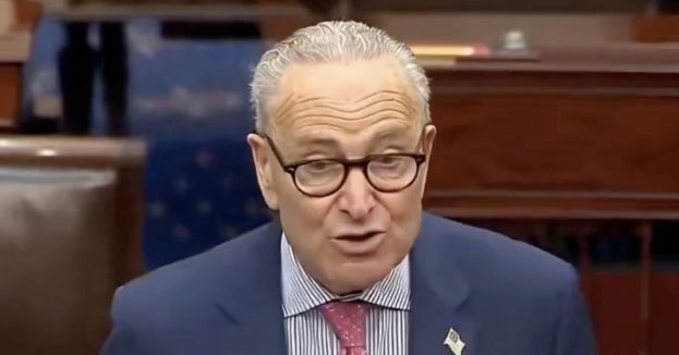 One Awkward Senate Moment Gave Schumer Critics A Fresh Punchline (Video)