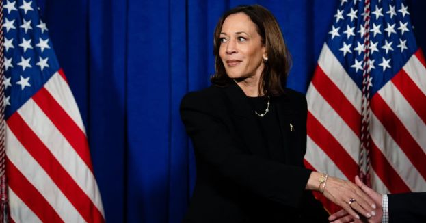 Democrat Strategists Game Out 2028—And the Playbook Won't Make Kamala Harris Happy