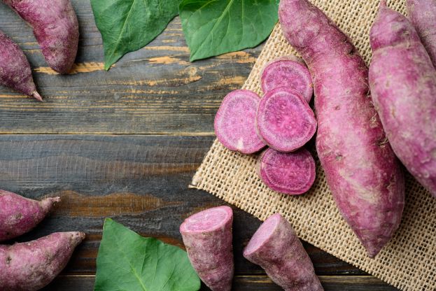 From Mountain Farms To Global Fame: The Sweet Potato That&#039;s Changing Joint Health!