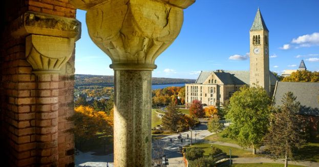 Here We Go Again: Cornell University's Top Donor Calls For President's Resignation Over Diversity‚ Equity‚ And Inclusion Initiatives