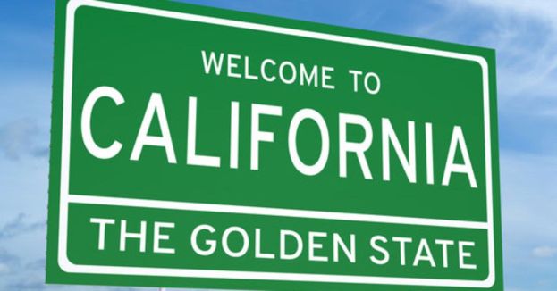 California’s Weird Jungle Primary Loophole: Could It Actually Sneak A Republican Into The Governor’s Mansion?