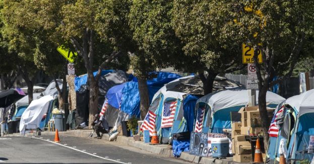 California's Radical Social Engineering: Taxpayer-Funded Gender-Affirming Care For Homeless Illegal Immigrants