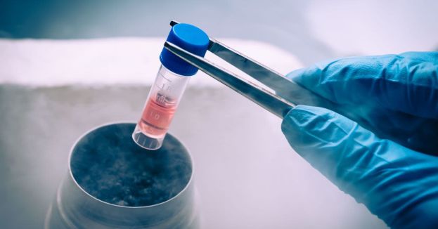 Wow! Alabama Supreme Court Grants Frozen Embryos Legal Rights As Children