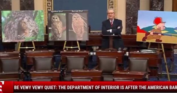 Be Vewy Vewy Quiet: The Department of Interior Is After The American Barred Owl