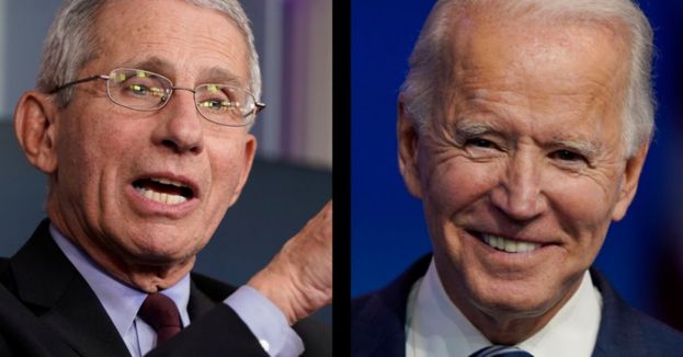 Anti-Trump Spin: Biden Says He Wants To Work With Fauci, But Has Not Made An Effort To Do So