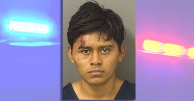 busted-illegal-immigrant-abducts-and-assaults-minor-in-florida-mother-catches-him-in-the-act
