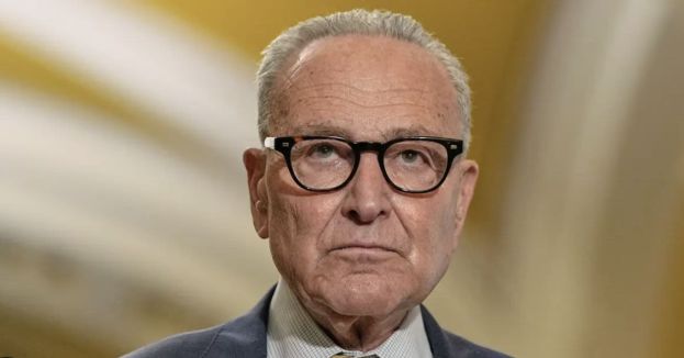 Chuck Schumer Seizes On GOP Infighting To Push Republicans Into Backing Democrats’ Healthcare Bill