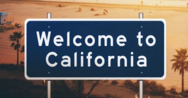 Wacky California Democrat Wants To REBOOT Welfare Fraud!